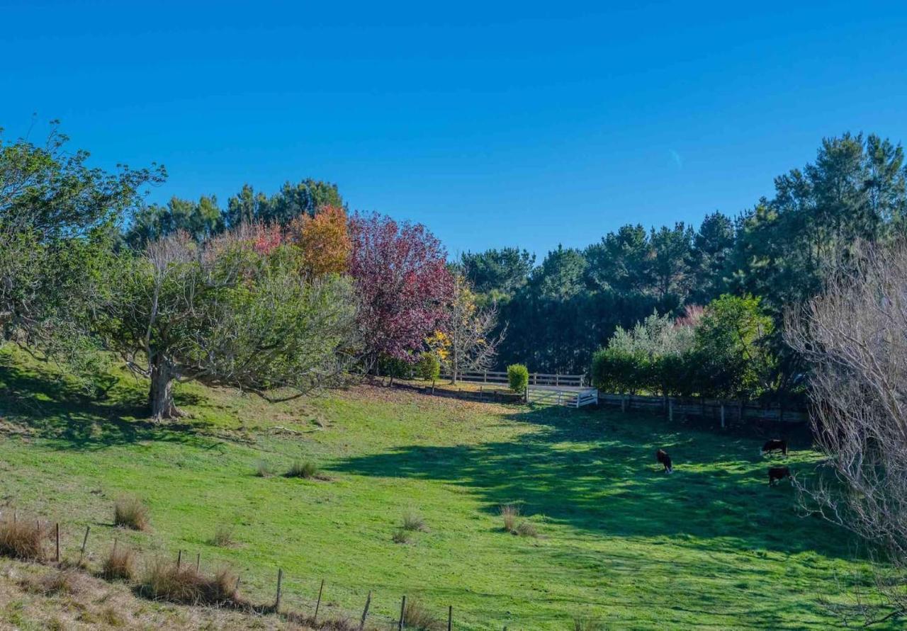 Cosy Lifestyle Cottage Perfect Getaway Pukekohe Exterior photo